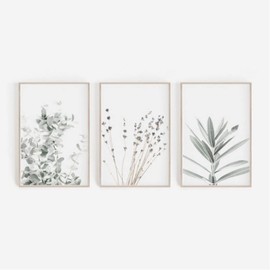 ZOYIEP Set of 3 Posters for Living Room – Pictures Decoration Bedroom – Lavender Eucalyptus Plant Stylish Wall Pictures – Without Picture Frame (30 x 40 cm)