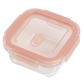 Pearl Metal HB-5957 Storage Container, Square, 9.4 fl oz (290 ml), Includes Heat Resistant Glass Bulb, Dish Plus