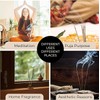 Satya Nag Champa Patchouli 100% Natural Incense Sticks | 12