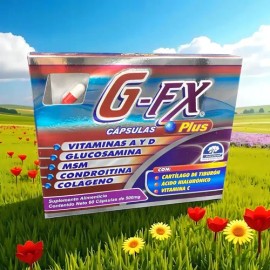 Gfx G-fx Plus 2 Caja C/60 Caps Articulaciones Glucosamina Sabor Sin Sabor