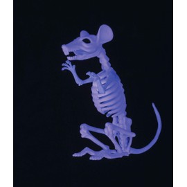 Crazy Bonez Ghostly Skeleton Rat