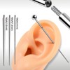 Pierced Owl Implant Grade Titanium Threaded Insertion Taper for Internally
