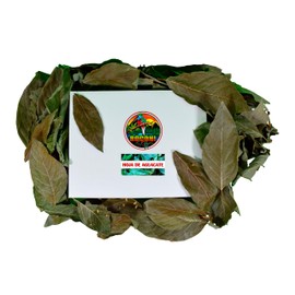 Hoja de Aguacate | 70grs |