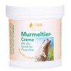Pullach Hof Murmeltier und Aloe-Vera Creme, 250 ml