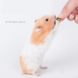 Dbeans Flourithing 7.05oz Hamster Chew Toys Great for Attracting Small Pets Guinea Pig Treats Chinchilla Toys