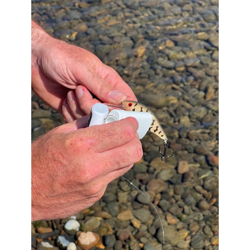 Pro-Cure Anise Baitwaxx, 0.55 Ounce