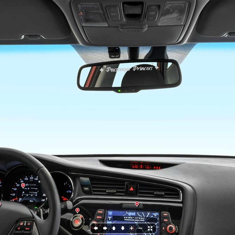 6 Pieces Passenger Princess Stickers - Cute and Funny Princess