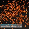 PATIKIL 10000 Pcs Wedding Table Scatter Confetti Crystals 4.5mm Acrylic