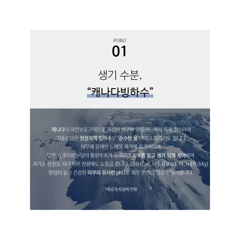 Whiteup 화이트업 미백 수분 기미 펩타이드 앰플 화장품 1 세트