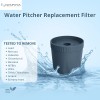 Nispira Water Pitcher Filter Replacement For Epic Nano Pitcher 150