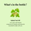Kukui Nut Oil - 1 fl oz (30 ml) -
