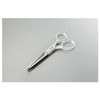 Stainless Steel Scissors