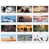 House of Doolittle 2025 Monthly Wall Calendar, Earthscapes Wildlife, 12