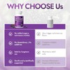 Elderberry - EIvera Gut Support Complex, 3-in-1 Gut Support Complex