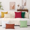 CJWLKJ 2Pcs Soft Faux Fur Throw Pillow Covers 18x18 -