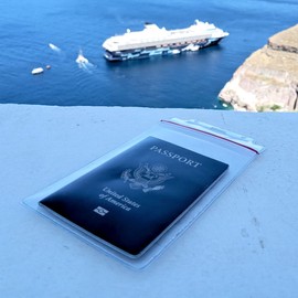 5 Pack - Extra Large Waterproof Badge Holder - 4 X 6 Inch Passport Size - Heavy Duty with Resealable Zip Top Closure by Specialist ID (Great for Cruise Essentials)