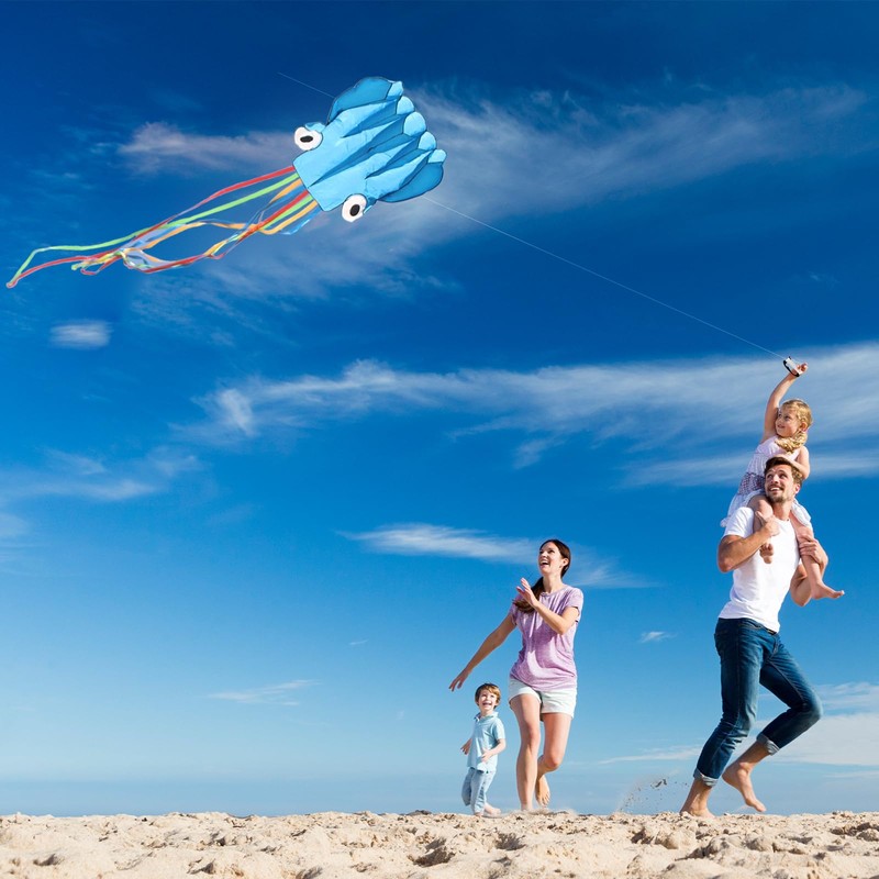 Hillylolly Octopus Kite, Large, Flight Kite, Single Line, Wind Kite