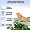 Bearded Dragon Lizard Hammock, Reptile Hammock Bearded Dragon Hammock Breathable