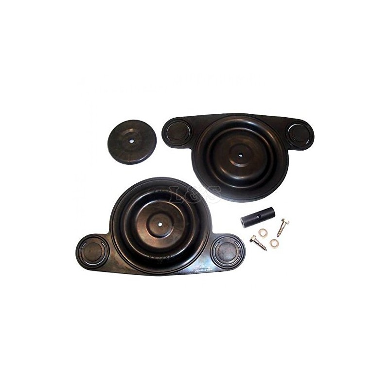 Patay DD120 Ocean Master Range Pump Repair Kit