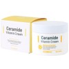 Moisturizing skin barrier strengthening vitality vitamin cream 100ml / 촉촉한 보습 피부 장벽 강화 생기 비타민 크림 100ml