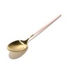 Francfranc Franc Velle Dinner Spoon Gold x Pink