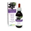 Black Elderberry (Sambucus nigra) Flowers and Fruits Alcohol-Free Mother Tincture