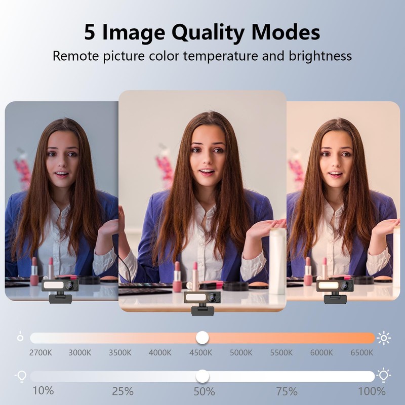 Webcam Webcam 4K UHD 2 Megapixel Webcam with Dual AI