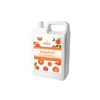 Bossen Concentrated Syrup_5.5 lb (Grapefruit)