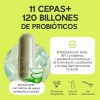 Probioticos 11 Cepas De 120 Billones Megabiotic 90 Capsulas 120