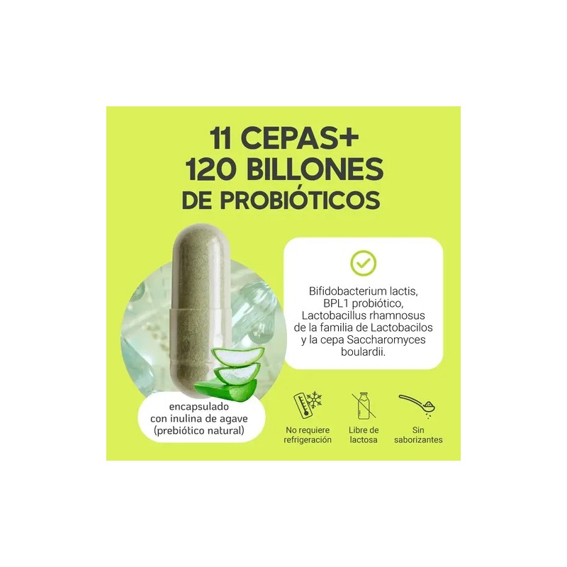 Probioticos 11 Cepas De 120 Billones Megabiotic 90 Capsulas 120