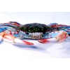 Charlotte International Large Replica Chesapeake Bay Blue Crab Wall Decor