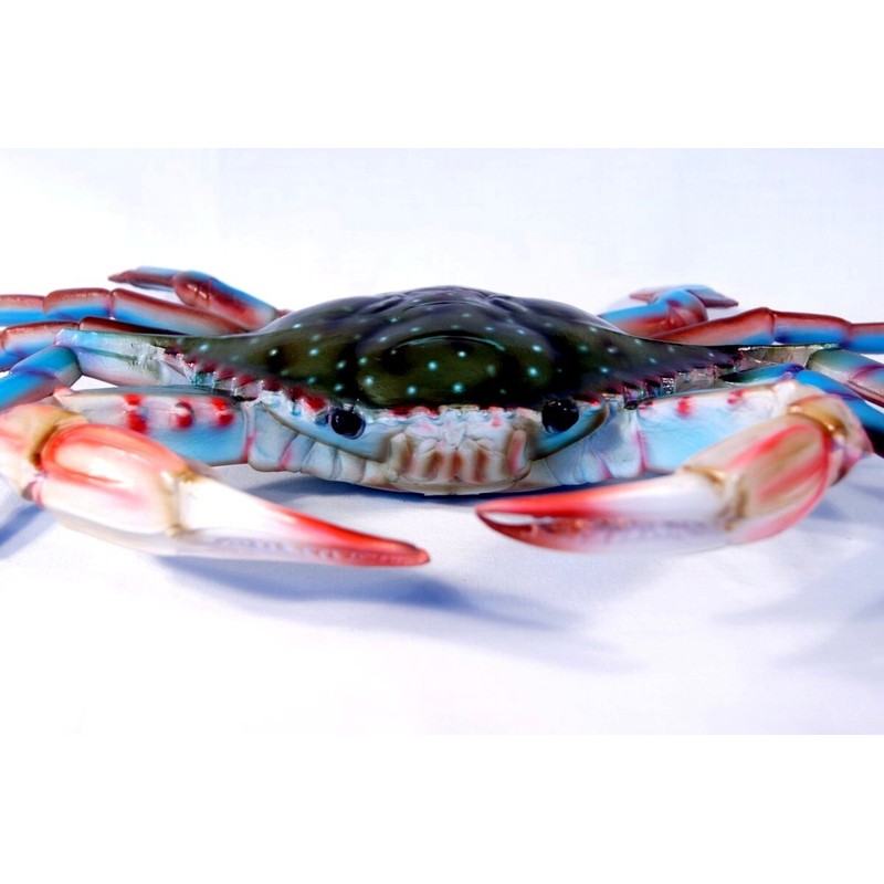 Charlotte International Large Replica Chesapeake Bay Blue Crab Wall Decor
