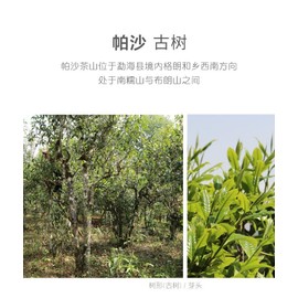 Puerh,2020,盛嘉源,帕沙,357g,Raw