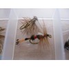 BestCity Fly Fishing for Trout BARBLESS MIXED SEASON SELECTION 20