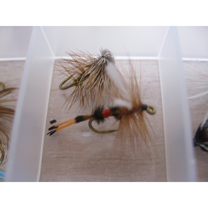 BestCity Fly Fishing for Trout BARBLESS MIXED SEASON SELECTION 20