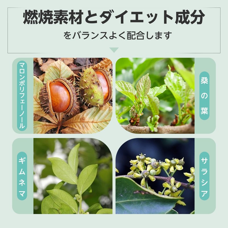 ISDG Sweet習慣 Diet サプリメント ダイエット サプリ 桑の葉末 サラシアエキス ギムネマエキス配合 30日分