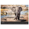 Elephant Grey Giants (Wall Calendar 2026 DIN A2 Landscape), CALVENDO