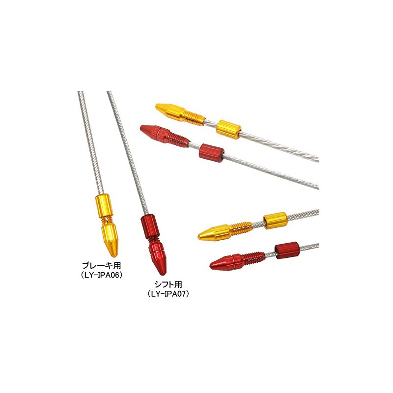 Alligator (Alligator) LY – IPA07 sukuryu-inna-kyappu (Shift) For 2 Pack Black 151 – 00395 