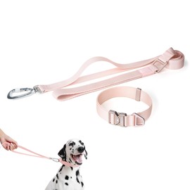 BuddyArmor Dog Collar and Leash Set, Heavy Duty Quick Release Buckle Dog Collar and Two Handles Dog Leash for Training & Outdoor Walking for Small Medium Large Dogs (Blush Pink, L)
