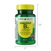 Spring Valley Vitamin B12 QuickDissolve Tablets Dietary Supplement 2500 Mcg