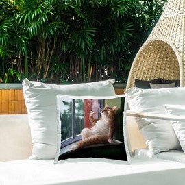 Stupell Industries Tabby Cat Relaxing Lounging Daytime Windowsill Outdoor Printed Pillow, 18 x 18, Multi-Color