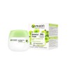 Garnier Skin Naturals Botanical Cream with Grape Water for Normal