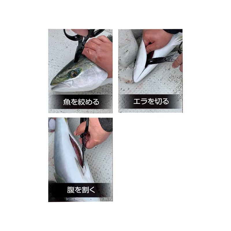 Taka Sangyo V-156 Seki Multi Scissors 190