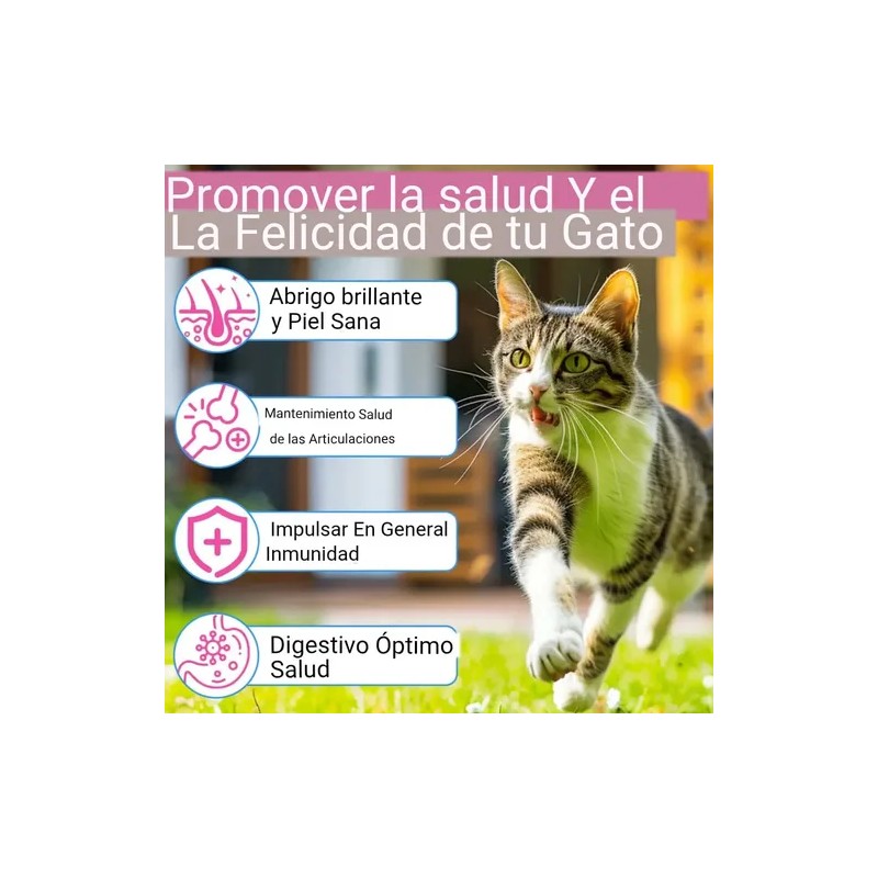 Colágeno Para Gato Salud Articular Digestiva Piel, Vitaminas