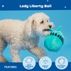 Barkbox Lady Liberty Ball 2-in-1 Dog Toy - Plush Squeaky