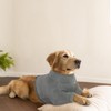 IDOMIK Dog Recovery Sleeve, Dog Surgery Recovery Suit Front Leg,