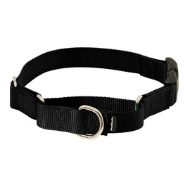 PetSafe Martingale Dog Collar with Quick-Snap Buckle - Petite, 3/8 Inch, Black