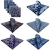 Shlax&Wing Pack of 5 Assorted Handkerchiefs for Men Square Size