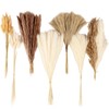 70 Pcs Pampas Grass Decor, Artificial Dried Flowers for Vase,