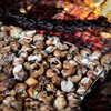 DOJA Barcelona | Iron can for Snails | Dimensions: 22x22